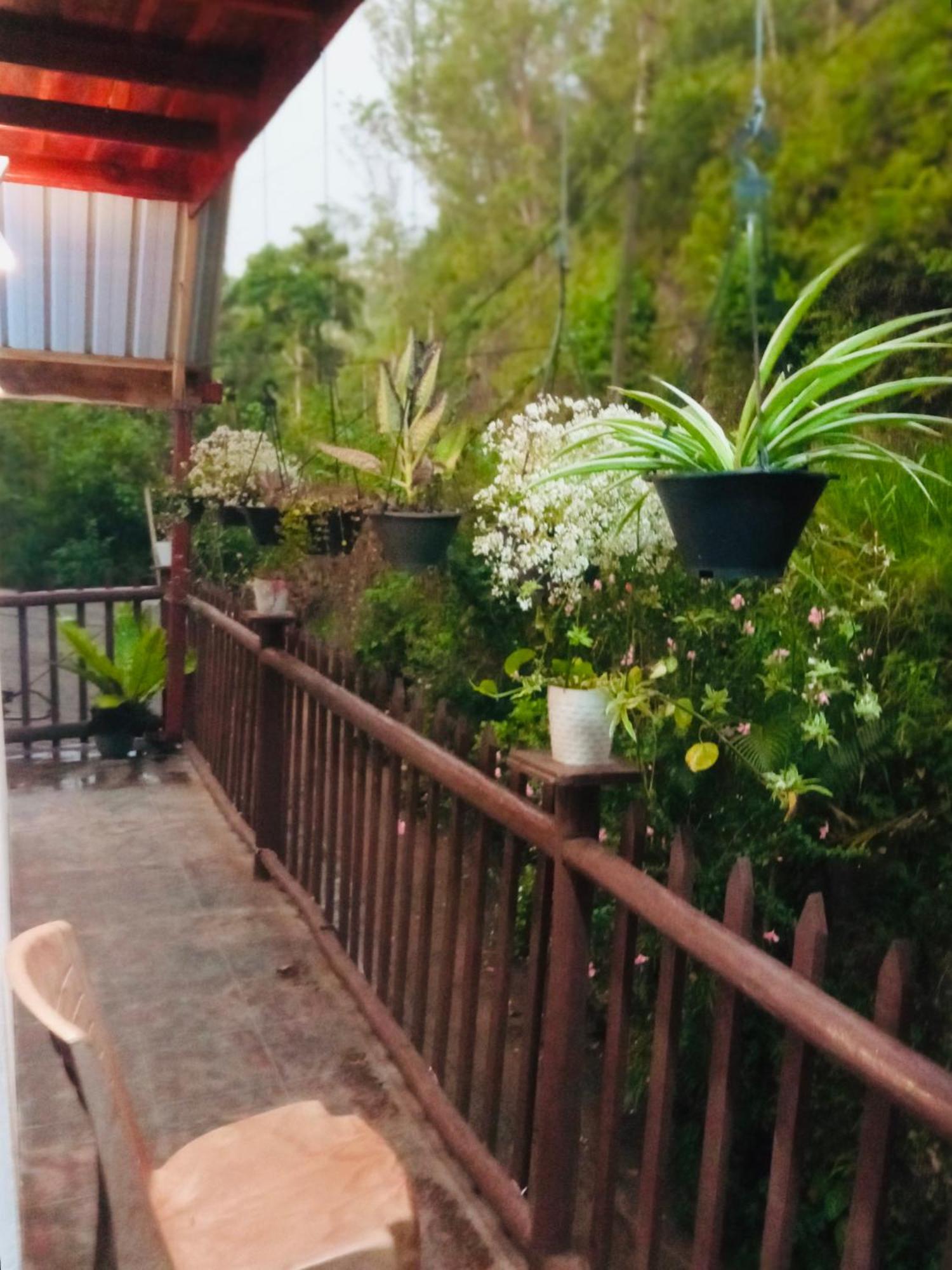 Rock View Rest Hatton Ngoại thất bức ảnh